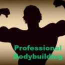 professional-Bodybuilding