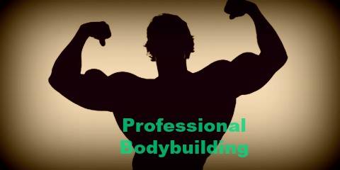 professional-Bodybuilding