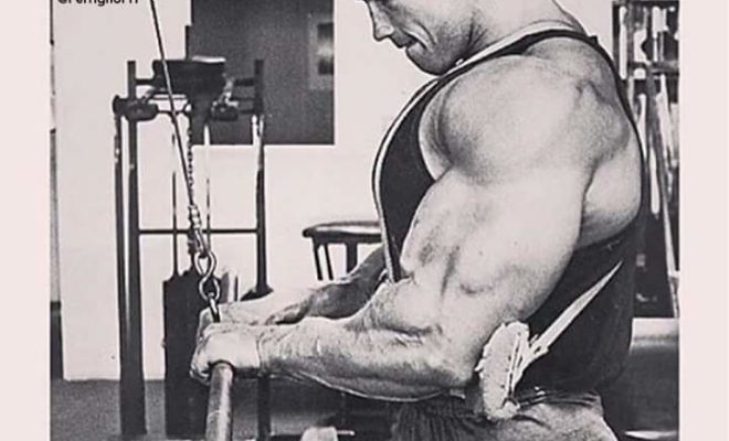bodybuilding-motivation-arnold
