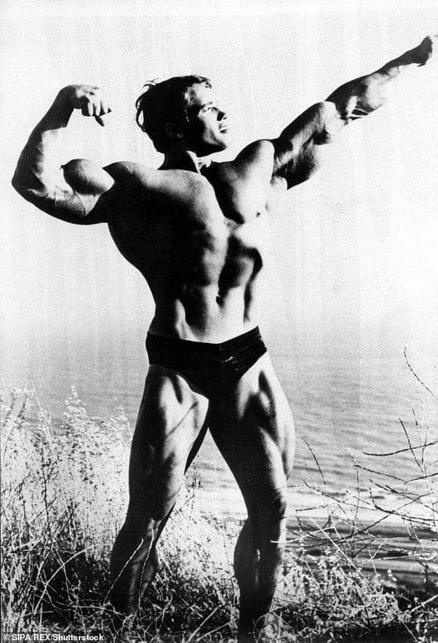 Arnold Schwarzenegger nella posa dell'arcere