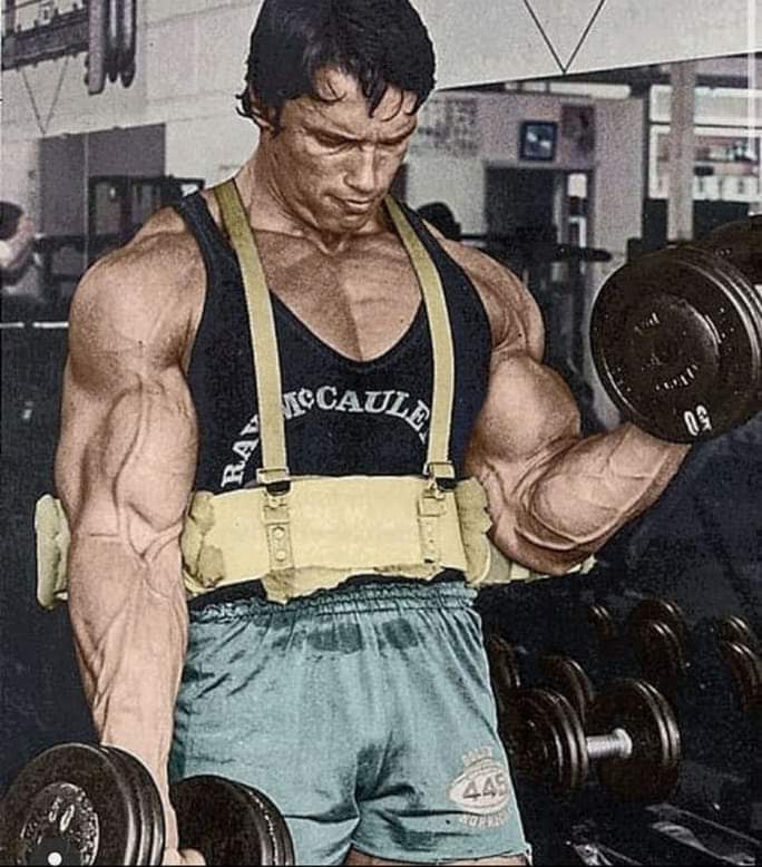 Arnold Schwarzenegger allena le braccia con arm blaster