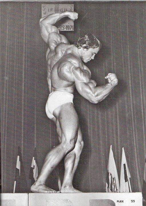 arnold Mister Olympia
