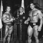 arnold e lou ferrigno