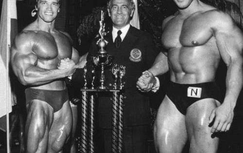 arnold e lou ferrigno