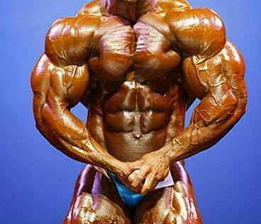 heath vince il 2006 new york pro ifbb most muscular