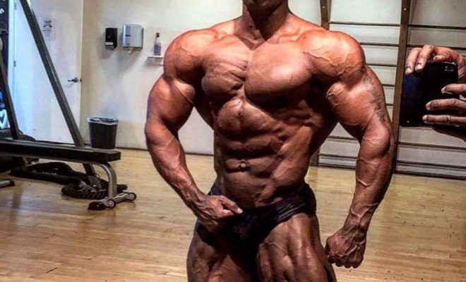 Breon Ansley pro ifbb in una posa classica