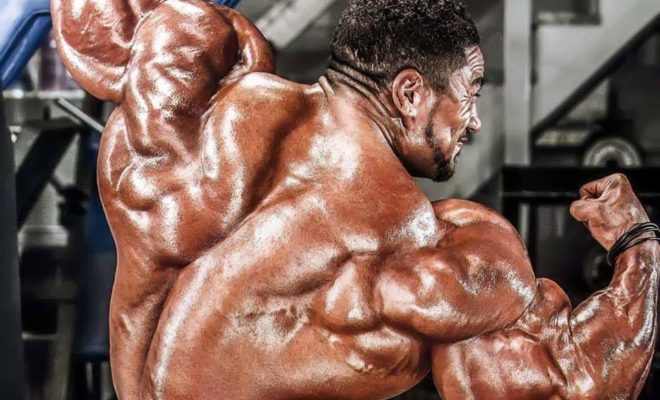 la posa di 3/4 di schiena di roelly winklaar pro ifbb