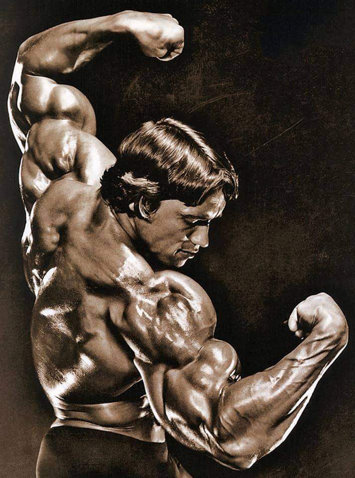 la posa a 3/4 di schiena di Arnold Schwarzenegger