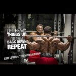 roelly winklaar motivation "lift heavy things up put them back down repeat"