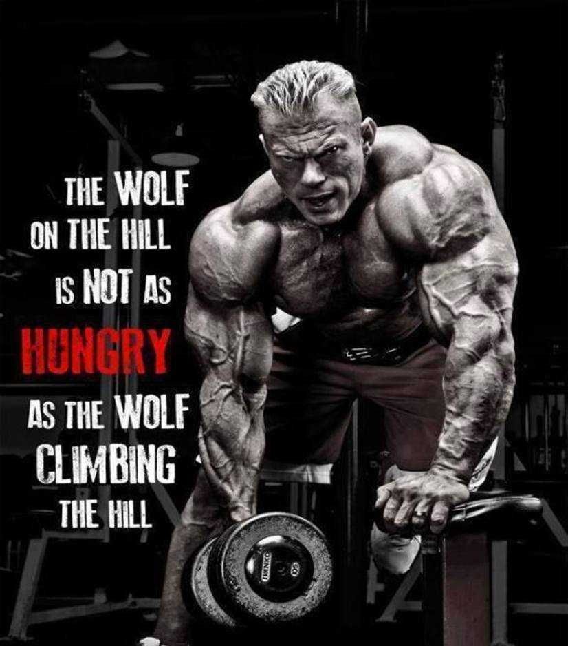 the wolf on the hill is not as hungry as the wolf climbing the hill DENNIS WOLF MOTIVATION