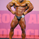 Ahmad Ashkanani posa di apertura dorsali sul palco della categoria men's bodybuilding fino a 85 kg all’Arnold Classic Europe Amateur 2013