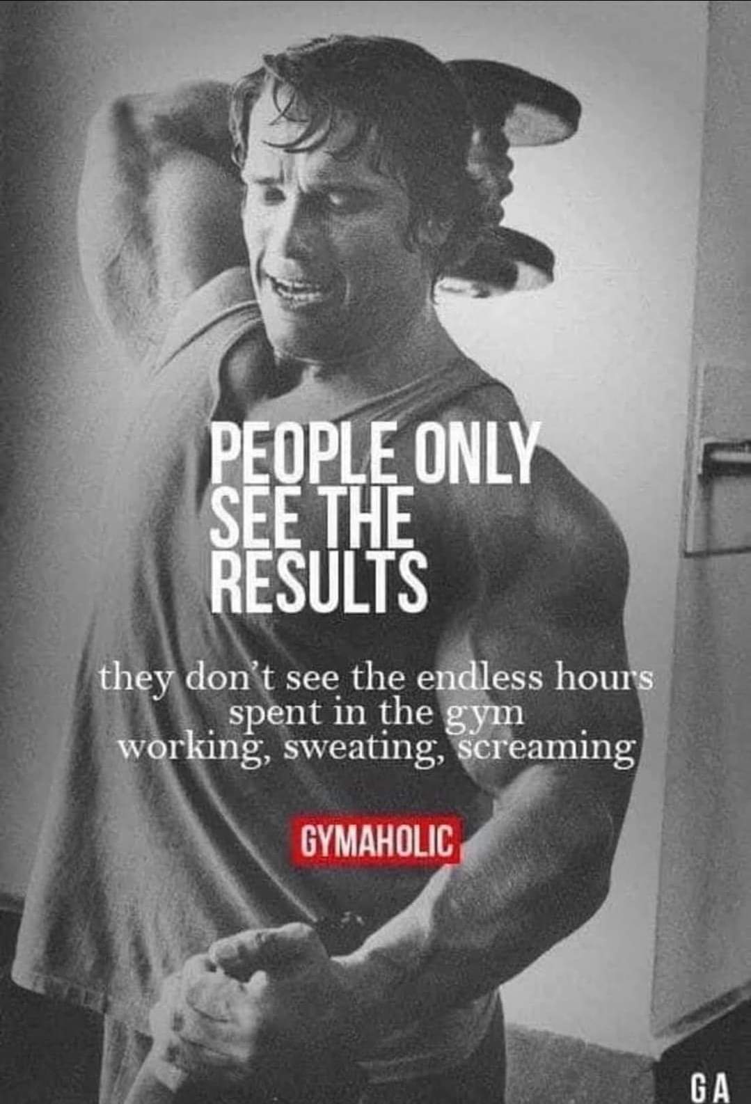 arnold motivation "people only see the results they don't see the endless hours spent in the gym working, sweating, screaming