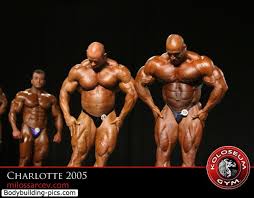 2005 Charlotte Pro Men’s Bodybuilding branch warren vs dennis james